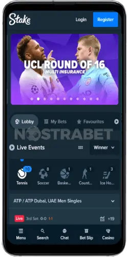 mobile e applicazione Stake Casino
